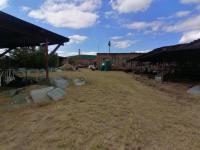  of property in Emalahleni (Witbank) 