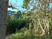  of property in Blue Bend