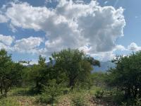 of property in Hoedspruit