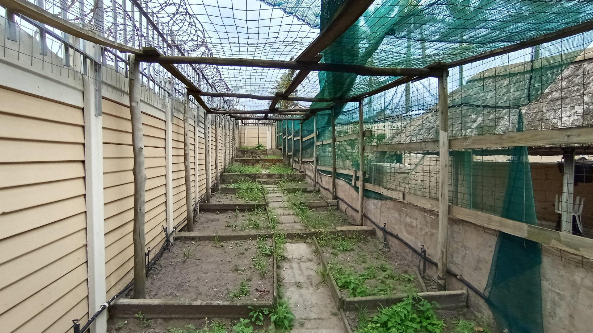 Backyard of property in Shallcross 