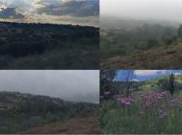  of property in Waterkloof Ridge