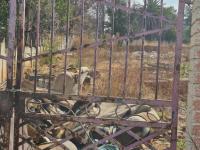  of property in Lambton
