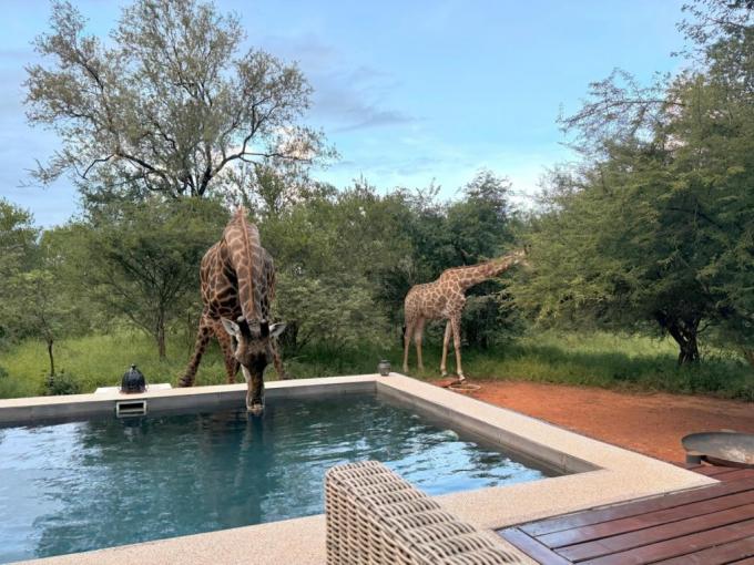 3 Bedroom House to Rent in Hoedspruit - Property to rent - MR687805
