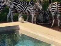  of property in Hoedspruit