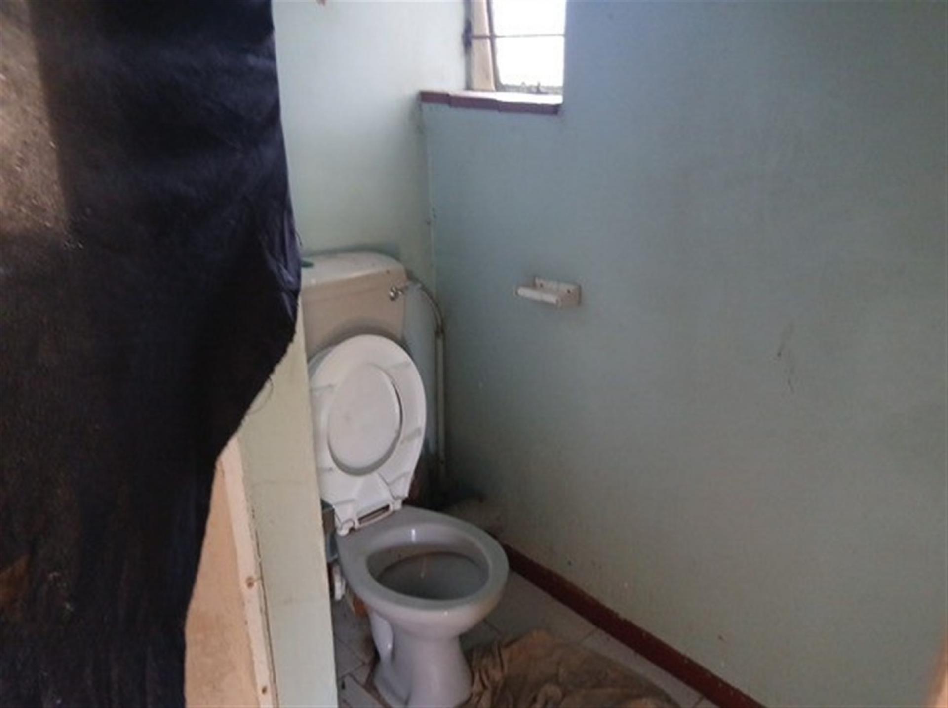 Bathroom 1 of property in Elsburg