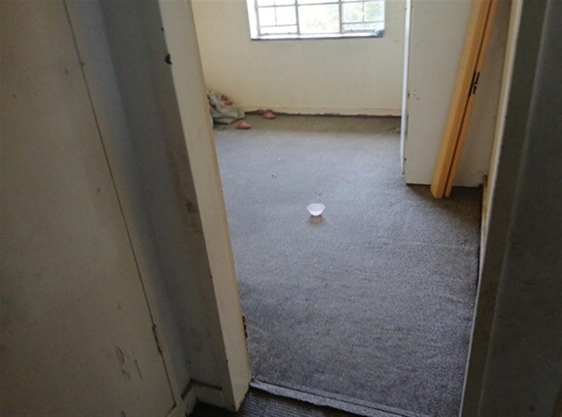 Spaces of property in Elsburg