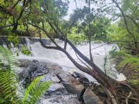  of property in Nelspruit Central