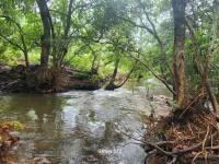  of property in Nelspruit Central