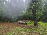  of property in Nelspruit Central