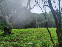  of property in Nelspruit Central