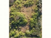  of property in Forest Hill