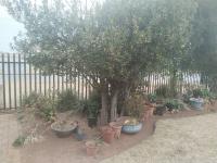  of property in Randfontein