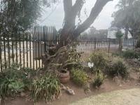  of property in Randfontein