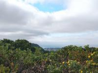  of property in Plettenberg Bay