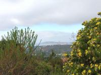  of property in Plettenberg Bay
