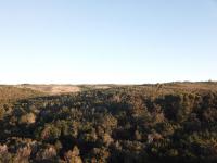  of property in Plettenberg Bay