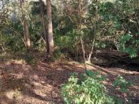  of property in Plettenberg Bay