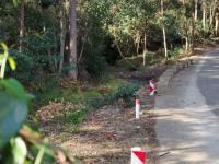  of property in Plettenberg Bay