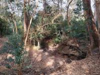 of property in Plettenberg Bay