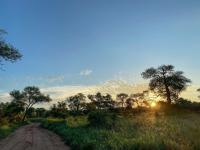  of property in Hoedspruit