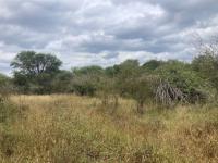  of property in Hoedspruit