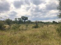  of property in Hoedspruit