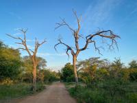  of property in Hoedspruit