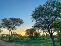  of property in Hoedspruit