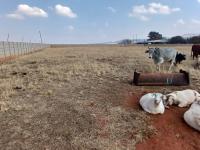  of property in Heidelberg - GP
