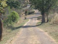  of property in White River