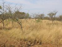  of property in White River