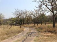  of property in White River