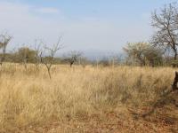  of property in White River