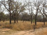  of property in White River