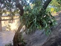 of property in Nelspruit Central