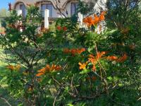  of property in Riebeek Kasteel
