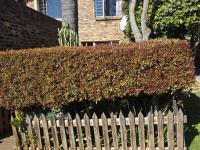  of property in Glenvista