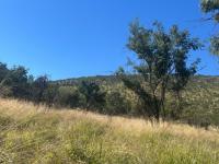  of property in Koster