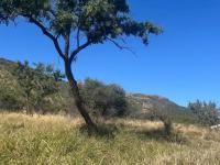  of property in Koster