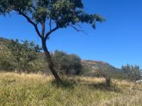  of property in Koster