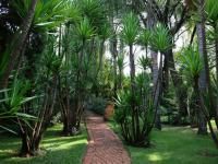  of property in Rietfontein