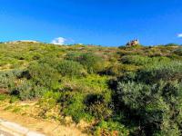  of property in St Helena Bay