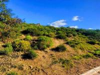  of property in St Helena Bay