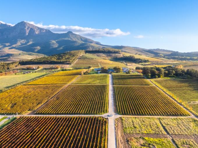 Farm for Sale For Sale in Paarl - MR688744