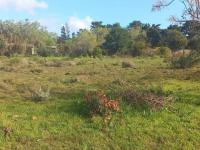  of property in Bot River