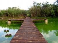 of property in West Lake Country and Safari Estate