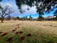  of property in Walkerville