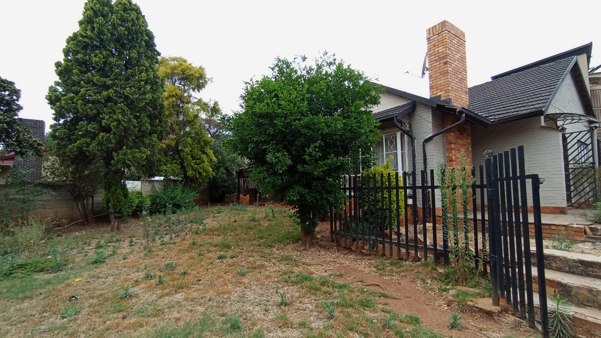 Backyard of property in Croydon