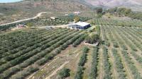  of property in Swellendam