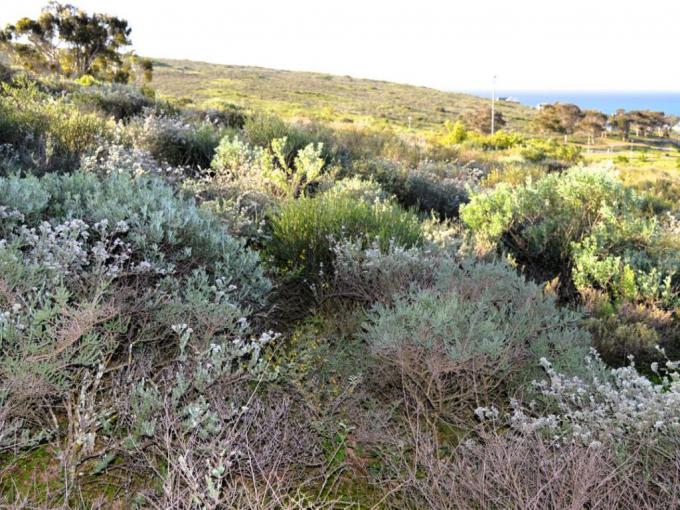 Land for Sale For Sale in Steenberg Golf Estate - MR689266